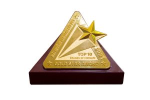 top 10 Vietnam Gold Star Award 2021
