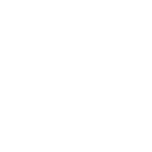 DNV Management System Certification
